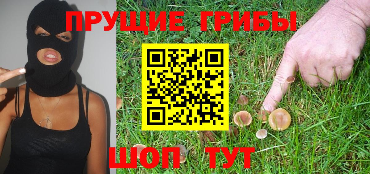 Богородицк  Галлюциногенные грибы мицелий  Псилоцибиновые грибы GOLDEN TEACHER  Вход с VPN 